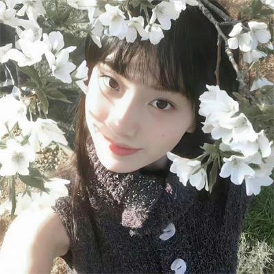 森林里的熊先生