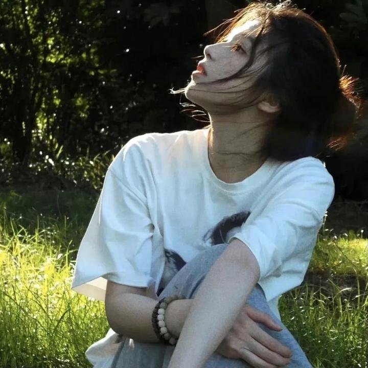 哈吉布基的森林冒险